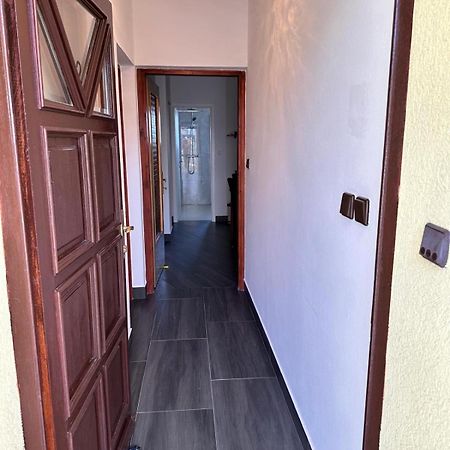 Salatić Apartman Nikola מראה חיצוני תמונה